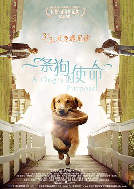 这十年来，电影人坚持以人民为中心的创作导向，通过接地气的故事、多类型融合的创作手法，用光影再现民族记忆，奏响时代强音。